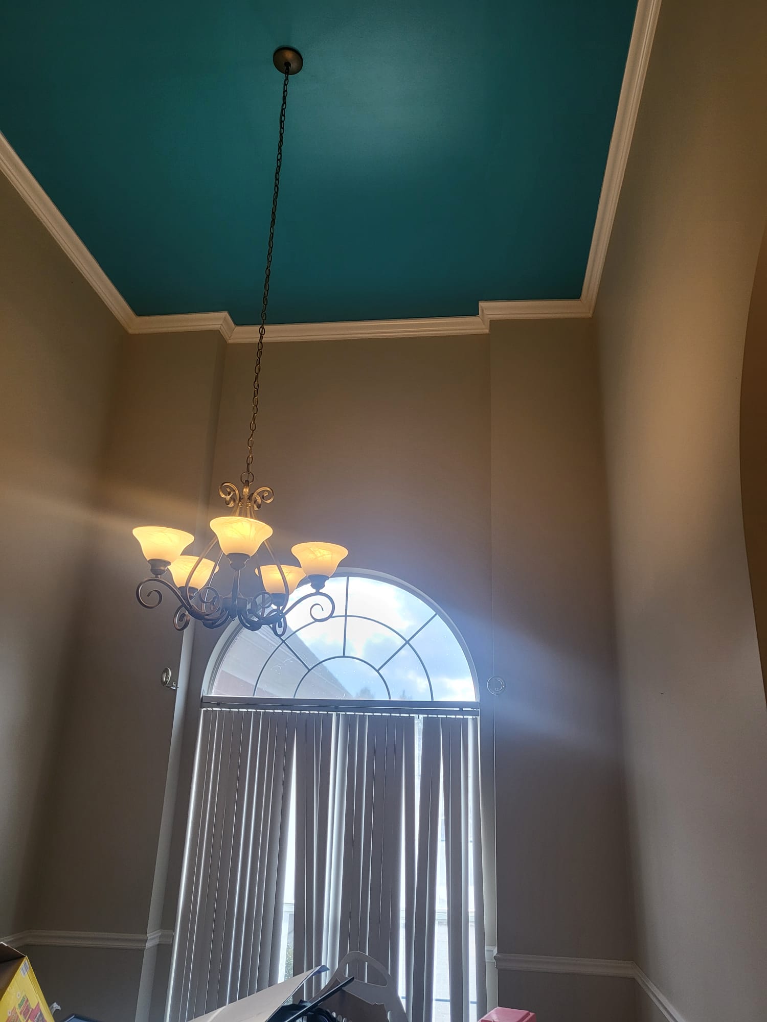 WhatsApp Image 2024-02-22 at 3.05.14 PM